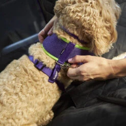 Car Seat Cover -Kazoo Store Kazoo 15710 CarSeatCover LS4