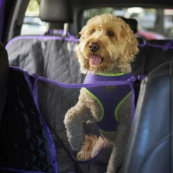 Car Seat Cover -Kazoo Store Kazoo 15710 CarSeatCover LS5