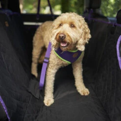 Car Seat Cover -Kazoo Store Kazoo 15710 CarSeatCover LS7