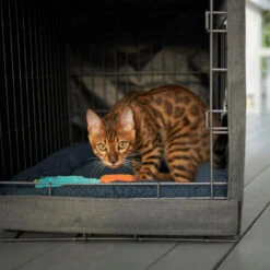 Dog Crate Cover -Kazoo Store Kazoo 15712 CrateCover S LS3