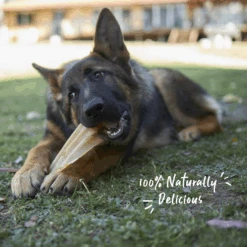 Cow Ears 16 Cow Ears -Kazoo Store Kazoo 15788 PrimeCuts CowEars 4pack 100g LS 2 Doodles