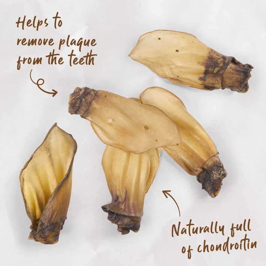 Cow Ears 4 Cow Ears - Image 2