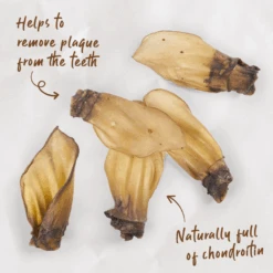 Aussie Beef Ears -Kazoo Store Kazoo 15788 PrimeCuts CowEars 4pack 100g Product Doodles 5afca917 eded 45ed a4dd 2ae16be884af