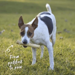 Aussie Shark Cartilage -Kazoo Store Kazoo 15800 Kazoo PrimeCuts SharkCartilage 100g LS Doodles