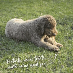 Aussie Shark Cartilage -Kazoo Store Kazoo 15800 Kazoo PrimeCuts SharkCartilage 100g LS Doodles 1