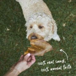 Pig Ears -Kazoo Store Kazoo 15816 Kazoo PrimeCuts PigEars 12pack LS 2 Doodles