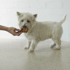 Puffy Pig Snouts -Kazoo Store Kazoo 15820 Kazoo PrimeCuts PuffyPigSnout 3pack 50g LS