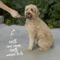 Aussie Kangaroo Tendons -Kazoo Store Kazoo 15896 Kazoo PrimeCuts KangarooTendons 500g LS Doodles