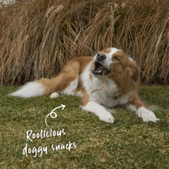 Kazoo Store -Kazoo Store Kazoo 15896 Kazoo PrimeCuts KangarooTendons 500g LS Doodles 1