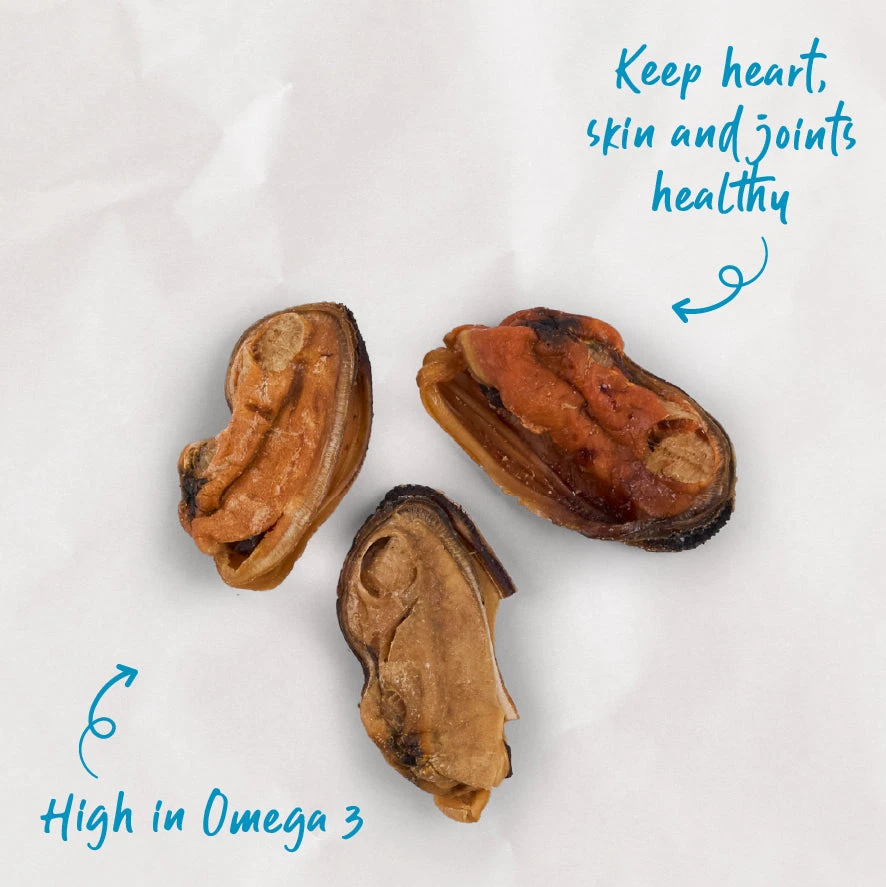 NZ Mussel Cat Treats 5 NZ Mussel Cat Treats - Image 3