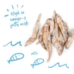 Kitty Craves 14 Kitty Craves -Kazoo Store Kazoo 16102 KittyCraves Doodles 02