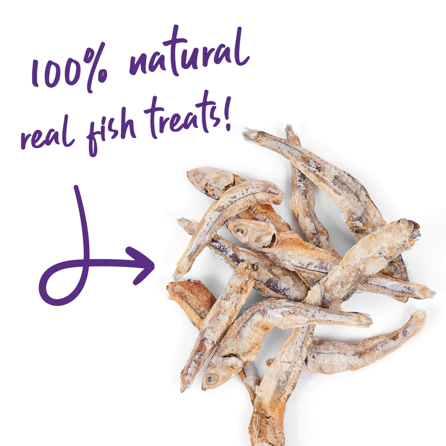 Kitty Craves 5 Kitty Craves - Image 3