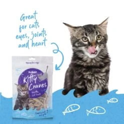 Kitty Craves 15 Kitty Craves -Kazoo Store Kazoo 16102 KittyCraves Doodles 05