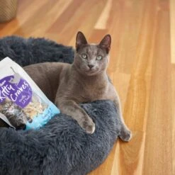 Kitty Craves 13 Kitty Craves -Kazoo Store Kazoo 16102 KittyCraves LS1