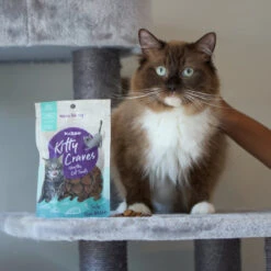 Kitty Craves Biscuits - Tuna Nibbles -Kazoo Store Kazoo 16105 KittyCraves TunaNibbles LS2