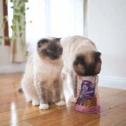 Kitty Craves Biscuits - Salmon Bites -Kazoo Store Kazoo 16106 KittyCraves SalmonBites LS3