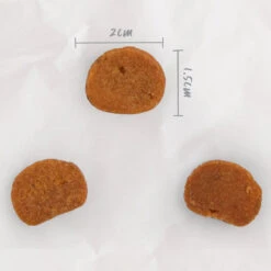 Kitty Craves Biscuits - Salmon Bites -Kazoo Store Kazoo 16106 KittyCraves SalmonBites Treat CloseUp