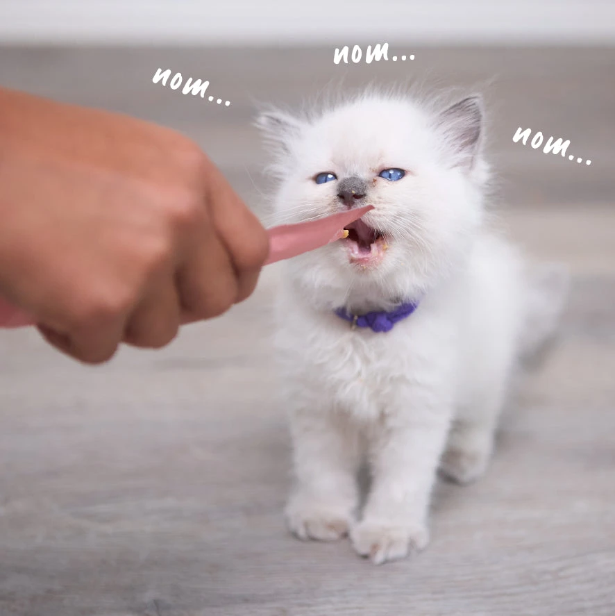 Purrfect Puree Cat Treat - Salmon 9 Purrfect Puree Cat Treat - Salmon - Image 7