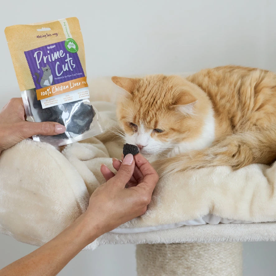 Aussie Chicken Liver Cat Treats 4 Aussie Chicken Liver Cat Treats - Image 2