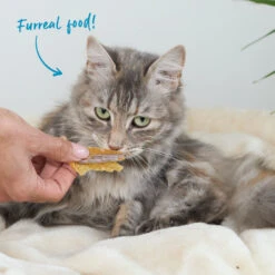 Aussie Anchovies Cat Treats -Kazoo Store Kazoo 16124 PrimeCutsCat AustralianAnchovies LS Doodles