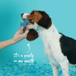 Dog Bone Biscuit - Blue 8 Dog Bone Biscuit - Blue -Kazoo Store Kazoo 16154 Barney sBarkery DogTreatBoneBiscuit Blue LS Doodles b2ecaeae 6a23 424e 8a9a 2265bc522cf9