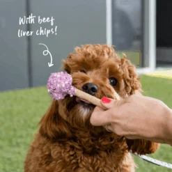 Dog Cake Pop - Pink/Purple -Kazoo Store Kazoo 16157 Barney sBarkery DogCakePop Pink Purple LS Doodles 2 f36155eb 31c4 4b8c afb8 244e301cd048