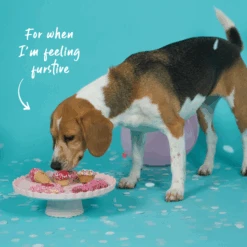 Dog Cupcake Duo - Hearts -Kazoo Store Kazoo 16160 Barney sBarkery DogTreatCupcakeDuo Blue Multi LS 2 Doodles bfa93fa1 e669 46d9 a402 81cc7b0c08b6