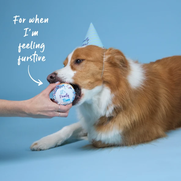 Dog Birthday Cake - Round - Blue 4 Dog Birthday Cake - Round - Blue - Image 2