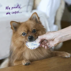 Dog Birthday Cake - Round - Blue 13 Dog Birthday Cake - Round - Blue -Kazoo Store Kazoo 16162 Barney sBarkery DogTreatBirthdayCake Blue LS Doodles 2dcd9e96 8daf 428b 8811 449daf734987