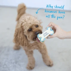 Dog Birthday Bone Cake - Blue 13 Dog Birthday Bone Cake - Blue -Kazoo Store Kazoo 16164 Barney sBarkery DogTreatBirthdayBoneCake Blue LS Doodle2 12f74a19 5777 474f bfee 34adf4591aa1