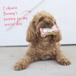 Dog Birthday Bone Cake - Pink -Kazoo Store Kazoo 16165 Barney sBarkery DogTreatBirthdayBoneCake Pink LS Doodles 9a6ce8ae 016f 449f aacb 2d527005969d