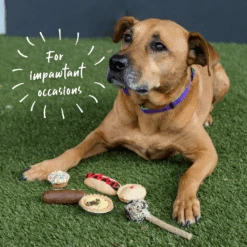 Dog Pawty Meat Pie -Kazoo Store Kazoo 16167 Barney sBarkery DogTreatPawtyMeatPie LS Doodles f9f93b07 8ecc 4570 95f7 ba85b3ec4666