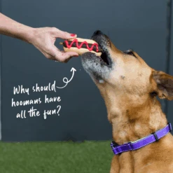 Dog Pawty Hot Dog -Kazoo Store Kazoo 16170 Barney sBarkery DogTreatPawtyHotDog LS Doodles 0cd326eb 2a7c 49b4 8191 cf5d1adbe2b1