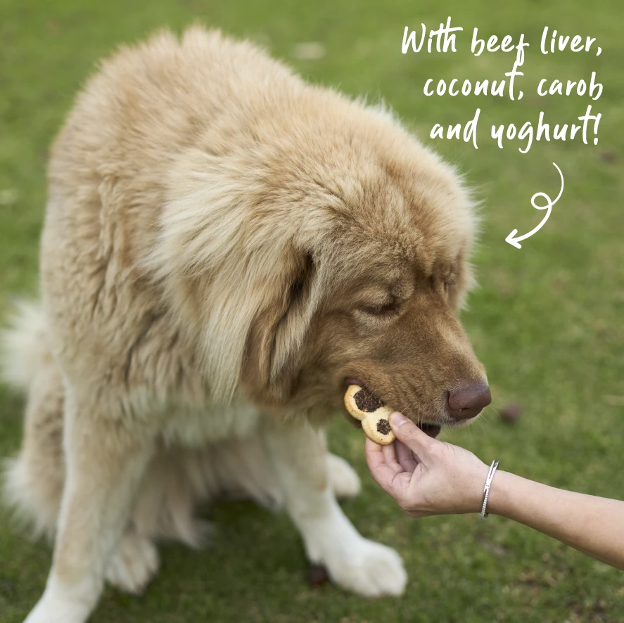 Meaty Marvel - Liver Pawprint 7 Meaty Marvel - Liver Pawprint - Image 5