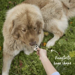 Meaty Marvel - Liver Nutri-Bone -Kazoo Store Kazoo 16174 Barney sBarkery DogTreatMeatyMarvels Nutri Bone Liver LS2 Doodles