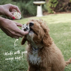 Meaty Cupcakes - Duo -Kazoo Store Kazoo 16176 Barney sBarkery DogTreatMeatyCupcakes Duo LS 2 Doodles