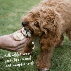 Meaty Cupcakes - Duo -Kazoo Store Kazoo 16176 Barney sBarkery DogTreatMeatyCupcakes Duo LS Doodles a83a90a5 537b 4212 a9b8 a394fc52ed7e