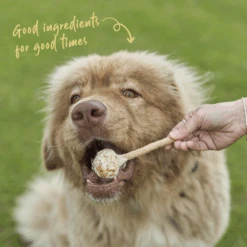 Meaty Pop - Chicken -Kazoo Store Kazoo 16183 Barney sBarkery MeatyPop Chicken LS Doodles