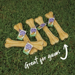 Mighty Bone -Kazoo Store Kazoo 16295 16130 MightyBone M D 1