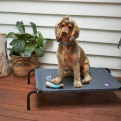 Tough N' Tasty Chew Tail - Milk -Kazoo Store Kazoo 18280 ToughN TastyChewTail Milk Doodles2