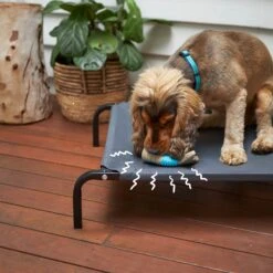 Tough N' Tasty Chew Tail - Milk -Kazoo Store Kazoo 18280 ToughN TastyChewTail Milk Doodles3