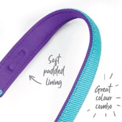 Active Dog Collar - Aqua & Purple -Kazoo Store Kazoo Active Collar Aqua Purple 15