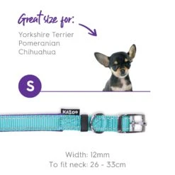 Active Dog Collar - Aqua & Purple -Kazoo Store Kazoo Active Collar Aqua Purple 16