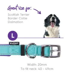 Active Dog Collar - Aqua & Purple -Kazoo Store Kazoo Active Collar Aqua Purple 18