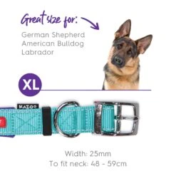 Active Dog Collar - Aqua & Purple -Kazoo Store Kazoo Active Collar Aqua Purple 19