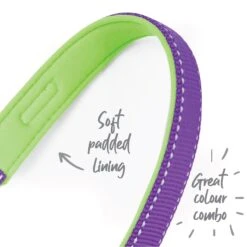 Active Easy-clip Dog Collar - Purple & Lime -Kazoo Store Kazoo Active Collar Purple Lime 28