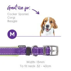 Active Dog Collar - Purple & Lime -Kazoo Store Kazoo Active Collar Purple Lime 30