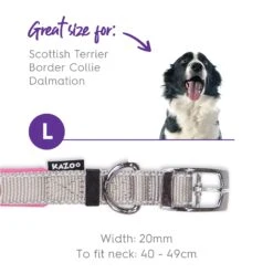 Active Dog Collar - Silver & Pink 18 Active Dog Collar - Silver & Pink -Kazoo Store Kazoo Active Collar Silver Pink 44