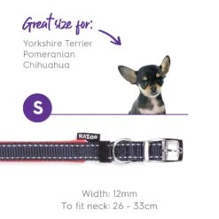 Active Dog Collar - Slate & Orange -Kazoo Store Kazoo Active Collar Slate Orange 03
