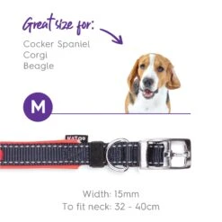 Active Dog Collar - Slate & Orange -Kazoo Store Kazoo Active Collar Slate Orange 04